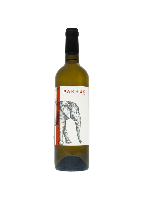 Domaine philippe et sylvain ravier pakhus vin de france